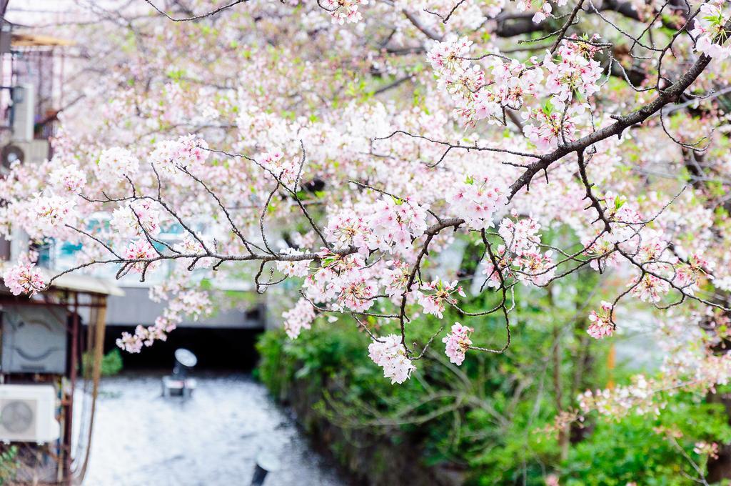 교토 Kumomachiya Takasegawa 빌라 외부 사진