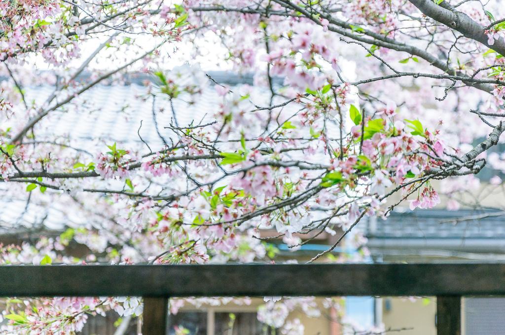 교토 Kumomachiya Takasegawa 빌라 외부 사진